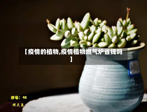【疫情的植物,疫情植物燃气炉省钱吗】-第2张图片