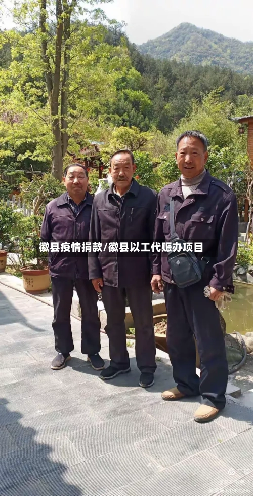 徽县疫情捐款/徽县以工代赈办项目-第3张图片