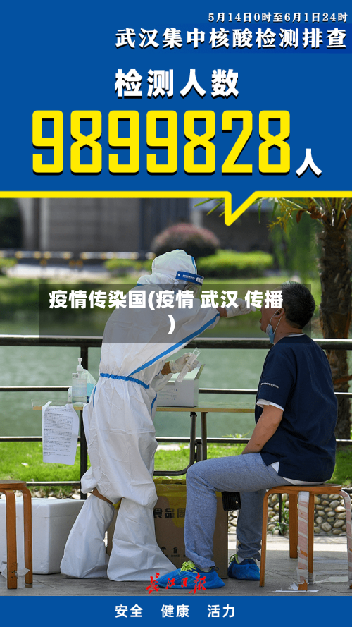 疫情传染国(疫情 武汉 传播)-第2张图片
