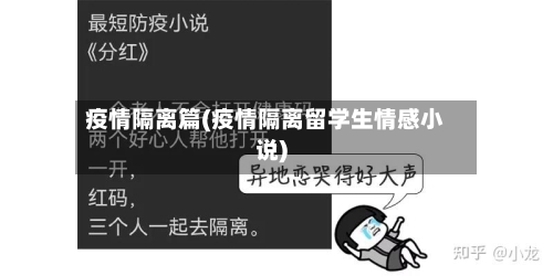 疫情隔离篇(疫情隔离留学生情感小说)
