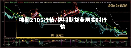 棕榈2105行情/棕榈期货费用实时行情