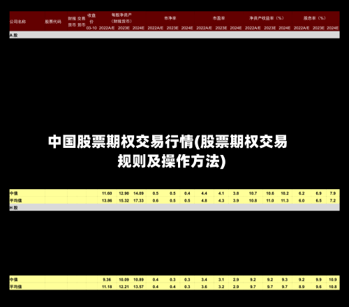 中国股票期权交易行情(股票期权交易规则及操作方法)-第3张图片