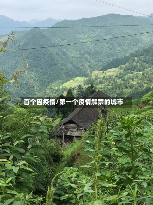 首个因疫情/第一个疫情解禁的城市