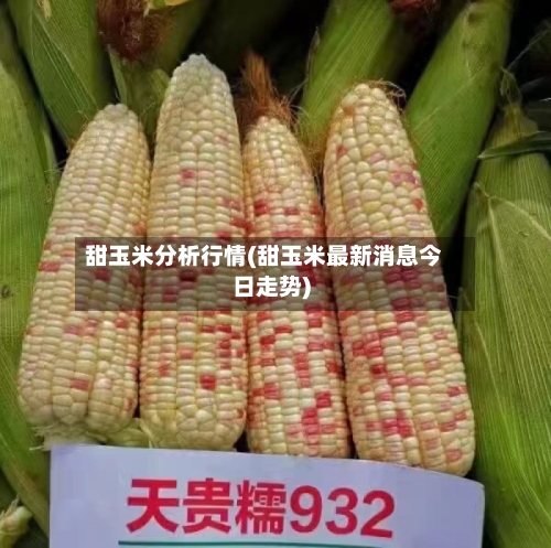 甜玉米分析行情(甜玉米最新消息今日走势)-第2张图片