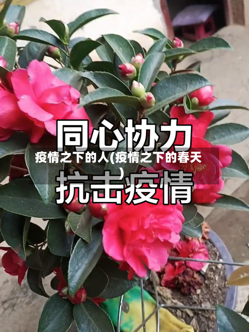 疫情之下的人(疫情之下的春天)
