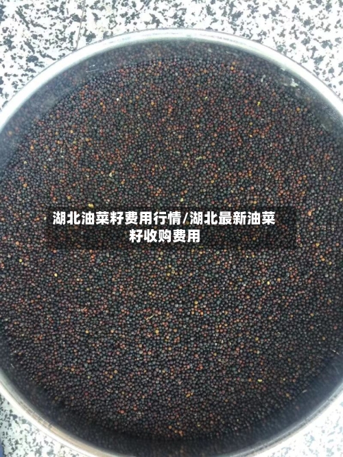 湖北油菜籽费用行情/湖北最新油菜籽收购费用-第2张图片