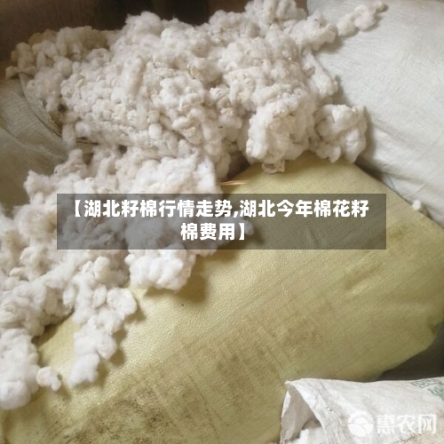 【湖北籽棉行情走势,湖北今年棉花籽棉费用】-第2张图片