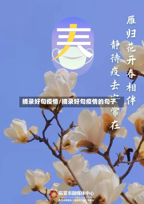 摘录好句疫情/摘录好句疫情的句子-第2张图片