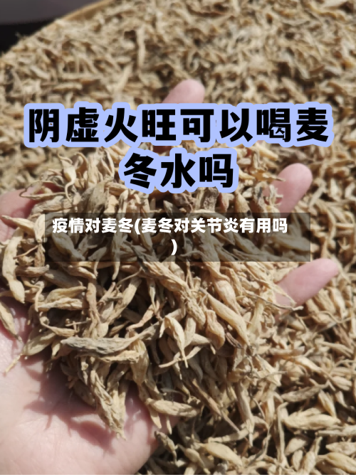 疫情对麦冬(麦冬对关节炎有用吗)-第2张图片