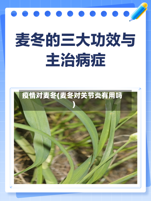 疫情对麦冬(麦冬对关节炎有用吗)-第3张图片