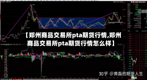 【郑州商品交易所pta期货行情,郑州商品交易所pta期货行情怎么样】