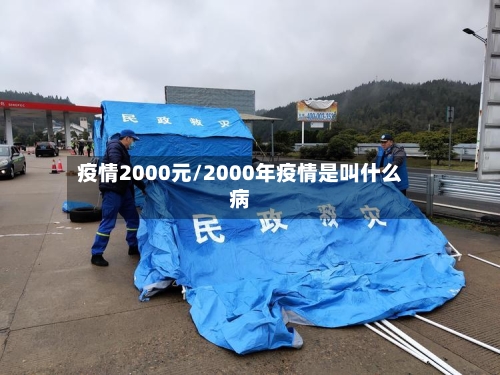 疫情2000元/2000年疫情是叫什么病-第2张图片