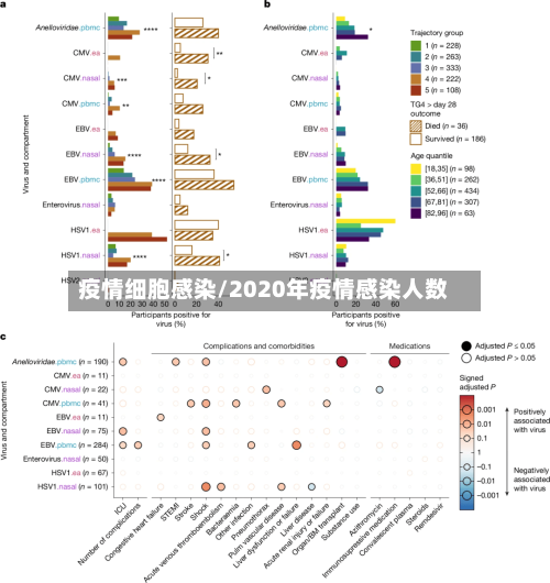 疫情细胞感染/2020年疫情感染人数-第3张图片
