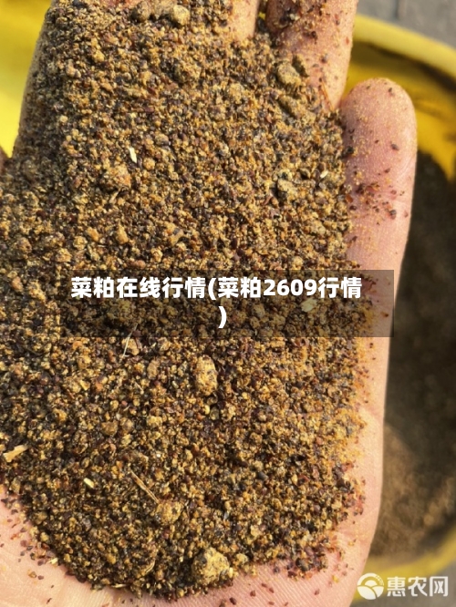 菜粕在线行情(菜粕2609行情)-第2张图片