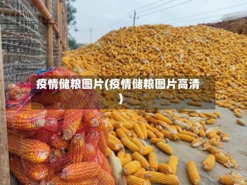 疫情储粮图片(疫情储粮图片高清)-第2张图片