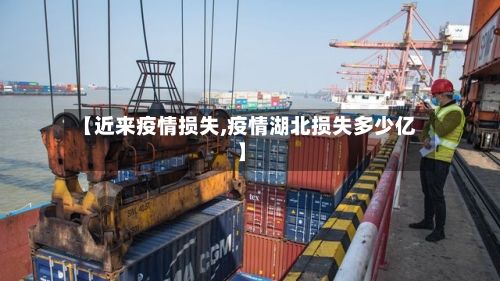 【近来疫情损失,疫情湖北损失多少亿】