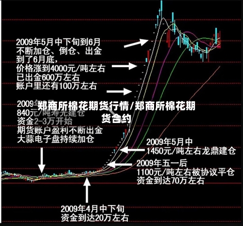 郑商所棉花期货行情/郑商所棉花期货合约