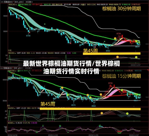 最新世界棕榈油期货行情/世界棕榈油期货行情实时行情-第3张图片