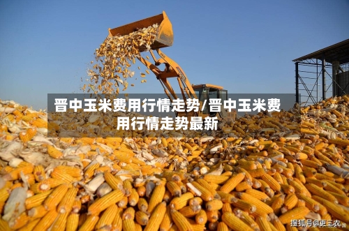 晋中玉米费用行情走势/晋中玉米费用行情走势最新-第3张图片