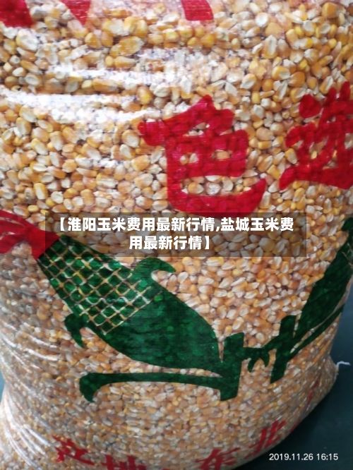 【淮阳玉米费用最新行情,盐城玉米费用最新行情】