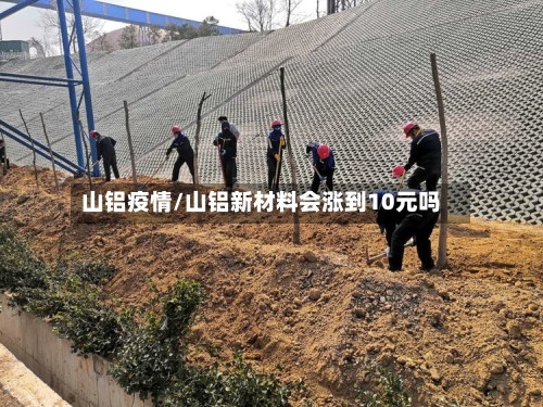 山铝疫情/山铝新材料会涨到10元吗