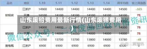 山东废铅费用最新行情(山东废锡费用)-第2张图片
