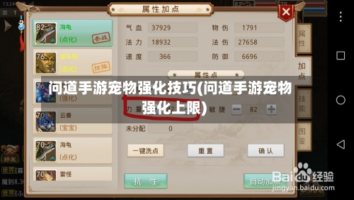 问道手游宠物强化技巧(问道手游宠物强化上限)