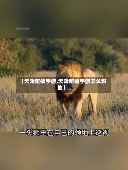 【天降雄狮手游,天降雄狮手游怎么封地】-第2张图片