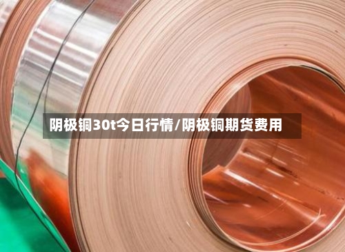 阴极铜30t今日行情/阴极铜期货费用