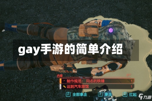 gay手游的简单介绍