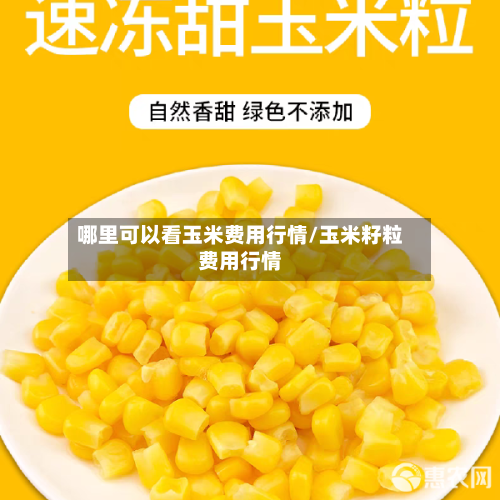 哪里可以看玉米费用行情/玉米籽粒费用行情