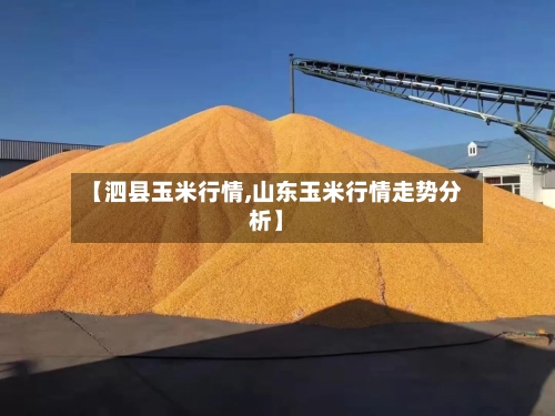 【泗县玉米行情,山东玉米行情走势分析】-第2张图片