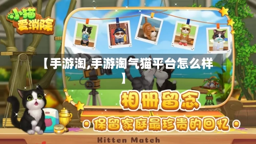 【手游淘,手游淘气猫平台怎么样】
