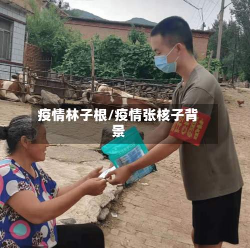 疫情林子根/疫情张核子背景-第3张图片
