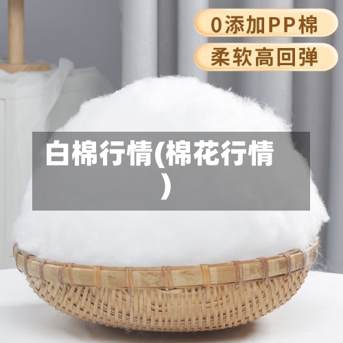 白棉行情(棉花行情)-第2张图片