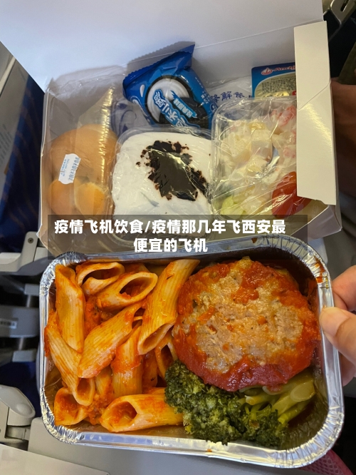 疫情飞机饮食/疫情那几年飞西安最便宜的飞机-第3张图片