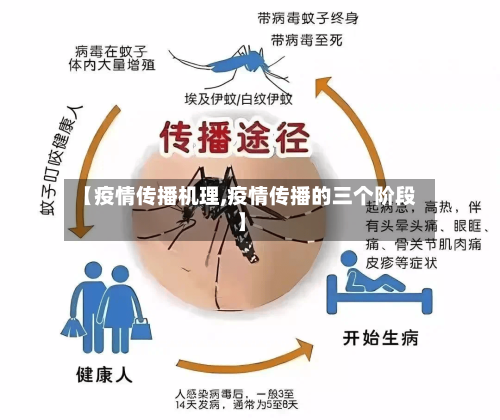 【疫情传播机理,疫情传播的三个阶段】