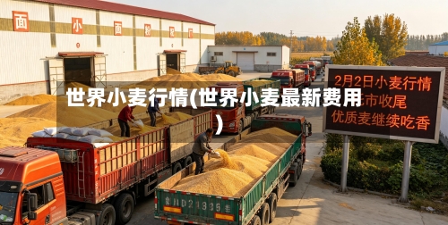 世界小麦行情(世界小麦最新费用)