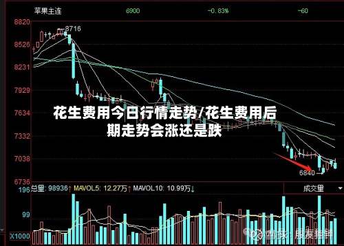 花生费用今日行情走势/花生费用后期走势会涨还是跌