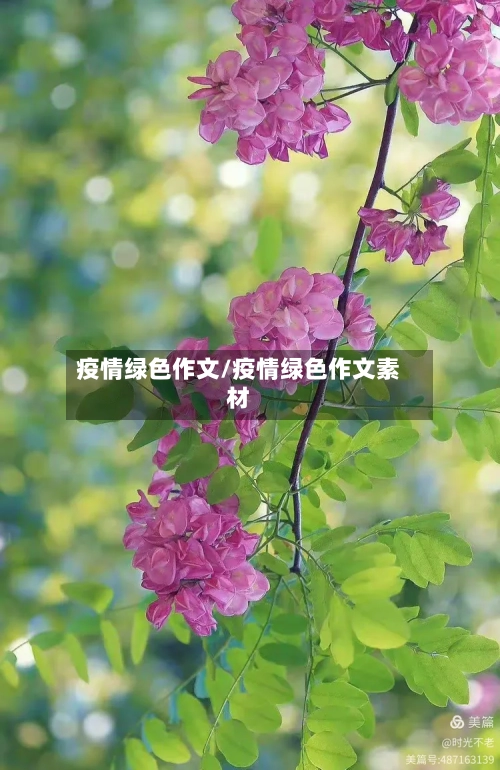 疫情绿色作文/疫情绿色作文素材-第3张图片