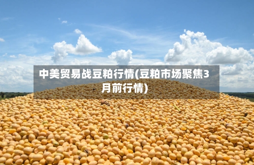 中美贸易战豆粕行情(豆粕市场聚焦3月前行情)