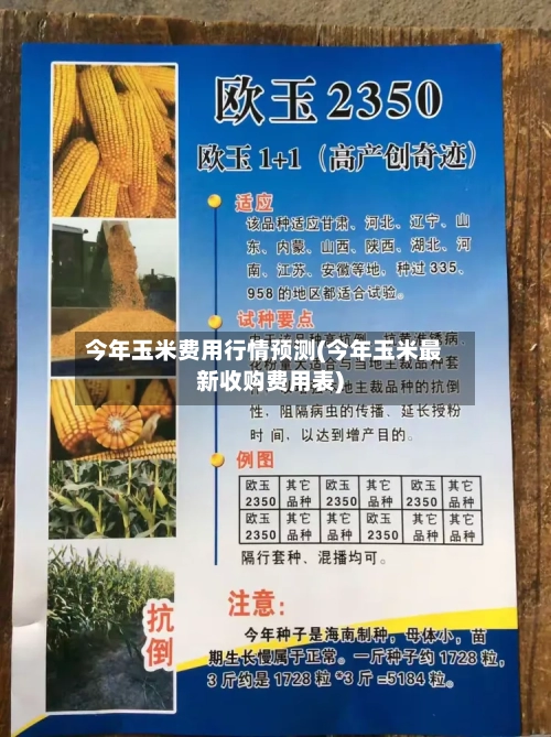 今年玉米费用行情预测(今年玉米最新收购费用表)-第3张图片