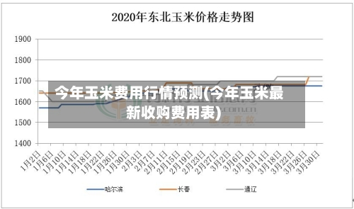 今年玉米费用行情预测(今年玉米最新收购费用表)