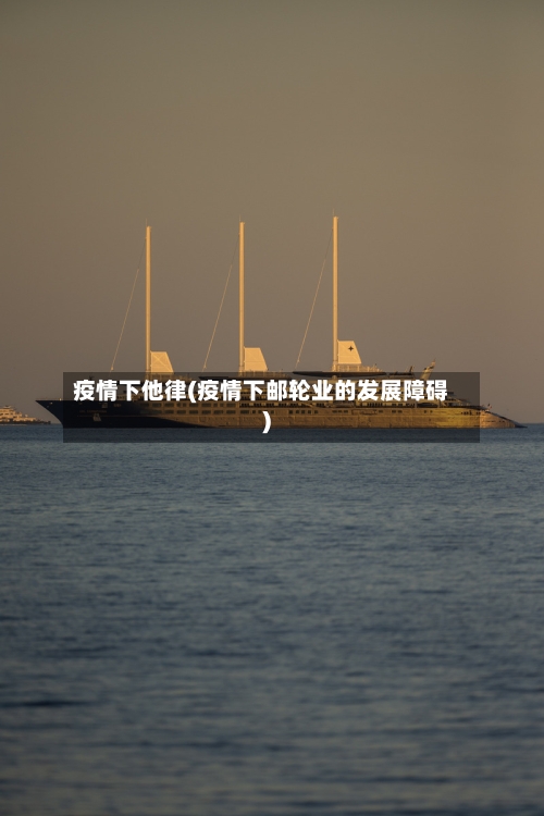 疫情下他律(疫情下邮轮业的发展障碍)-第3张图片