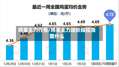 鸡蛋主力行情/鸡蛋主力现阶段拉涨图什么-第2张图片
