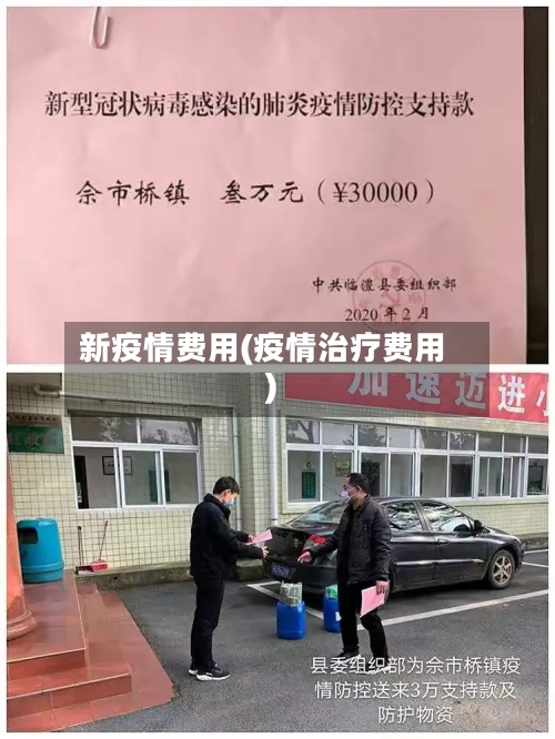 新疫情费用(疫情治疗费用)