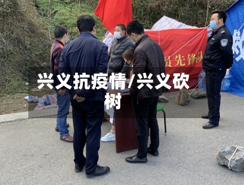 兴义抗疫情/兴义砍树-第2张图片