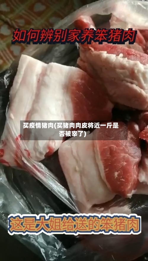 买疫情猪肉(买猪肉肉皮将近一斤是否被宰了)-第3张图片