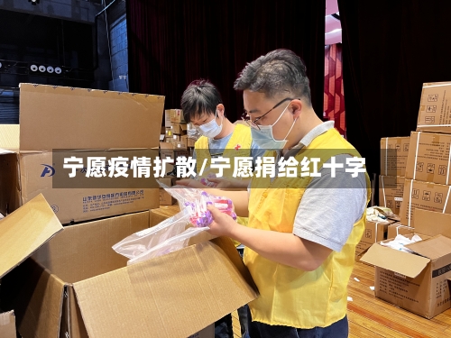 宁愿疫情扩散/宁愿捐给红十字