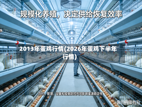 2013年蛋鸡行情(2026年蛋鸡下半年行情)